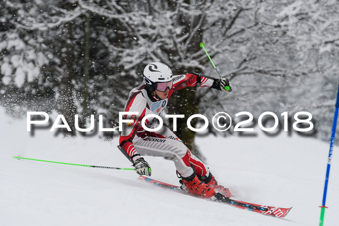 Münchner Skimeisterschaft 2018