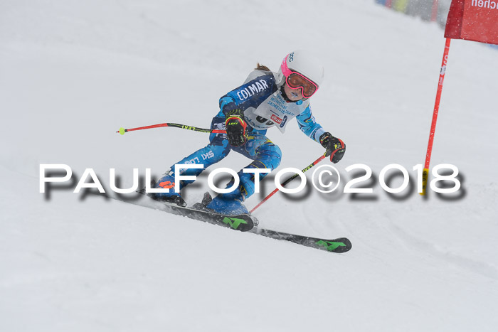 Münchner Skimeisterschaft 2018
