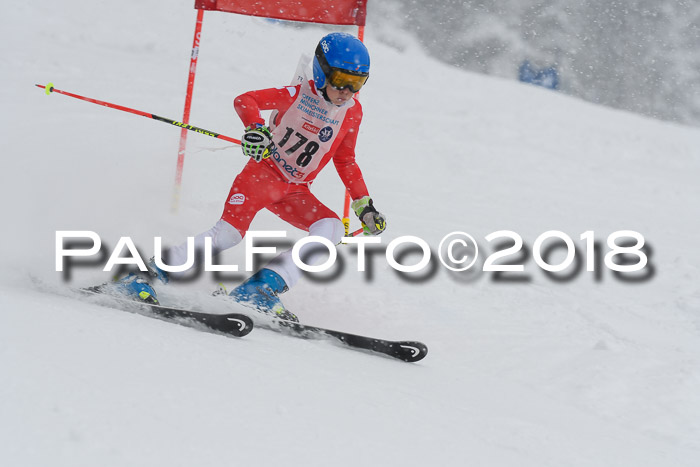 Münchner Skimeisterschaft 2018