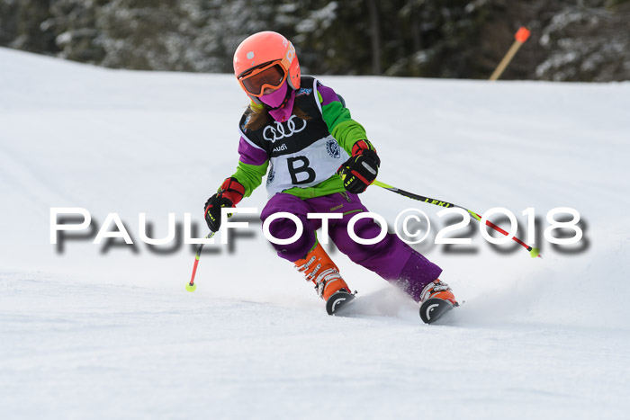Starnberger Skikreismeisterschaft 2018