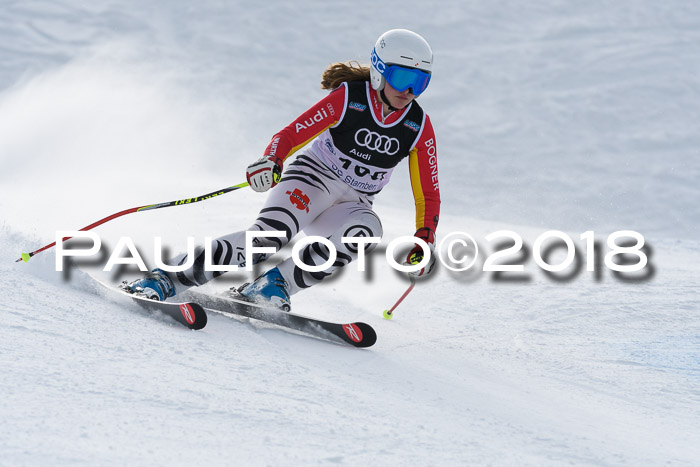 Starnberger Skikreismeisterschaft 2018