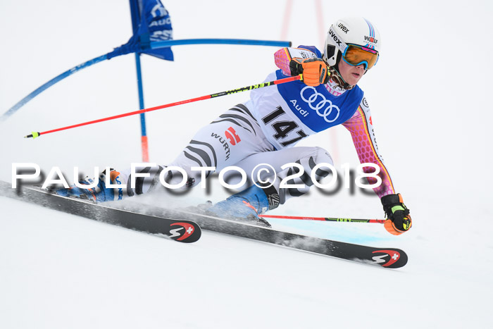 FIS Riesenslalom, Damen + Herren, Oberjoch, 15.02.2018