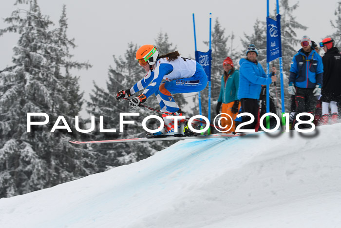 DSV Schülercup Super-G, 19.02.2018