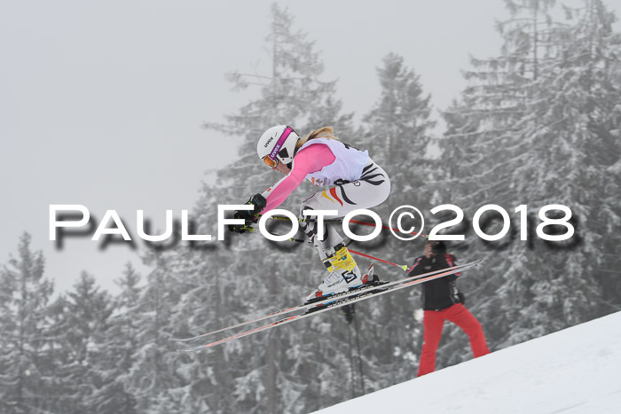 DSV Schülercup Super-G, 19.02.2018