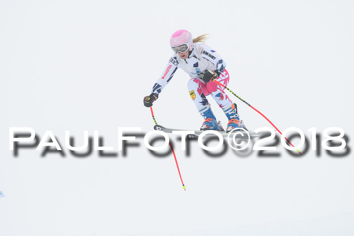 Int. FIS Rennen + NJC Damen, SG, Götschen, 22.02.2018