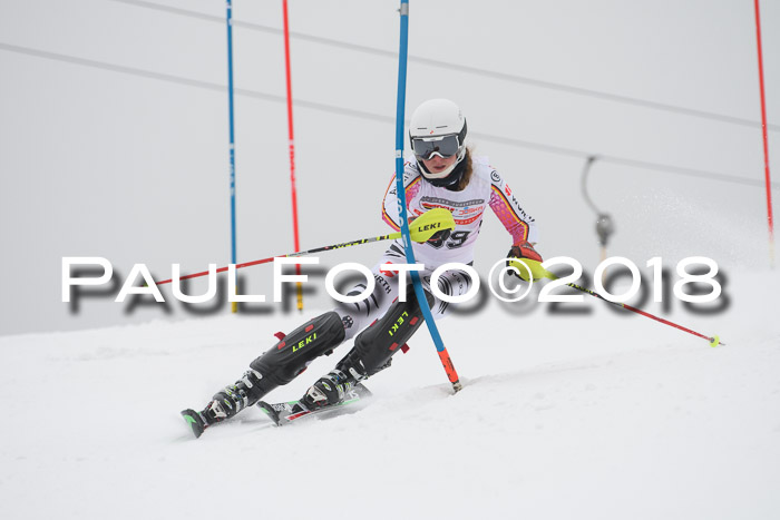 FIS Slalom Damen + Herren 23.02.2018