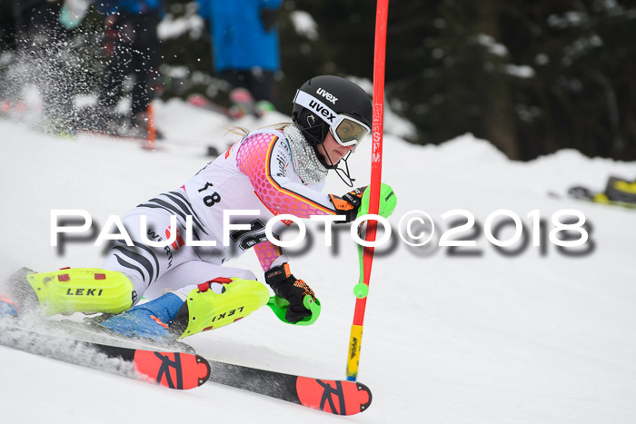 FIS Slalom Damen + Herren 23.02.2018