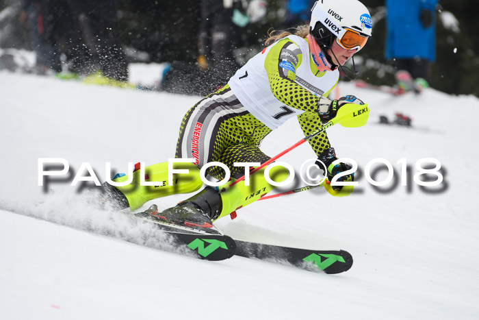 FIS Slalom Damen + Herren 23.02.2018