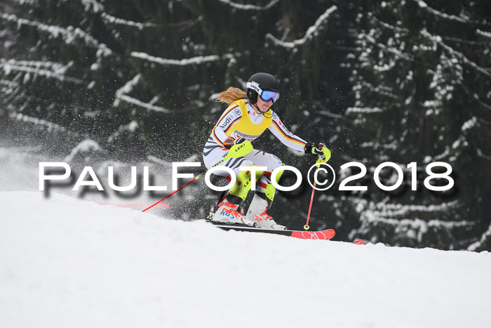 FIS Slalom Damen + Herren 23.02.2018