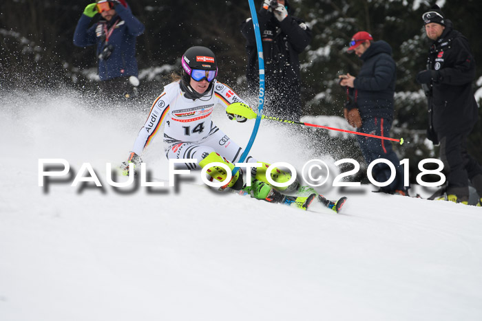 FIS Slalom Damen + Herren 23.02.2018