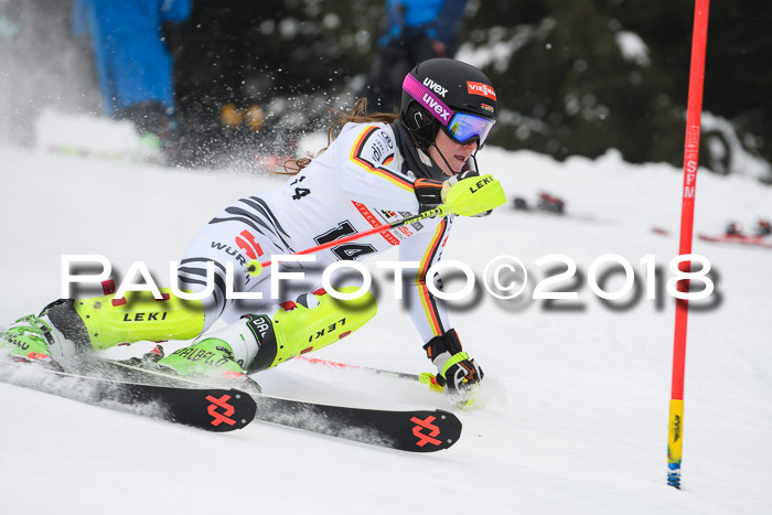 FIS Slalom Damen + Herren 23.02.2018