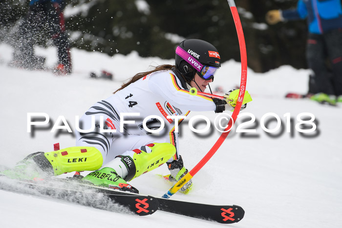 FIS Slalom Damen + Herren 23.02.2018