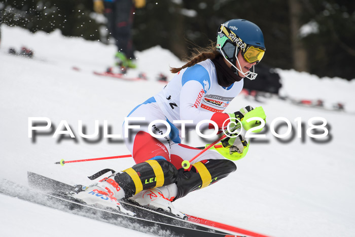 FIS Slalom Damen + Herren 23.02.2018