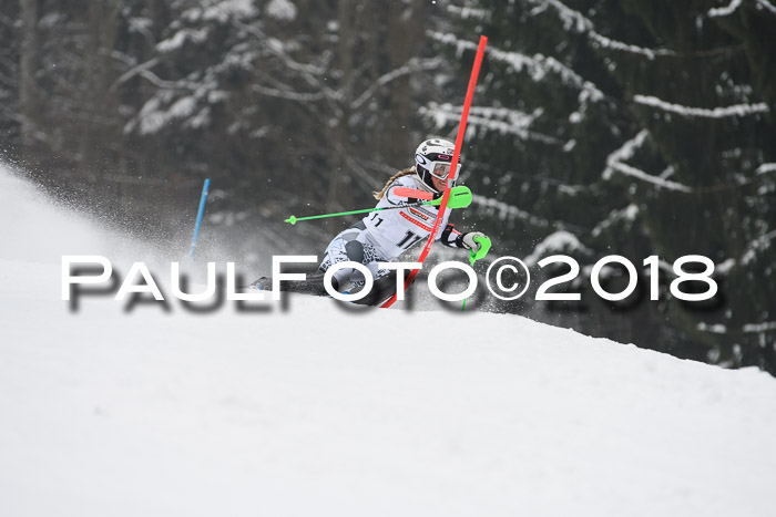 FIS Slalom Damen + Herren 23.02.2018