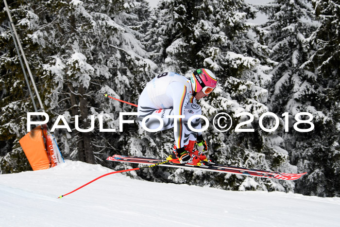 Int. FIS Rennen + NJC Herren, SG, Götschen, 26.02.2018