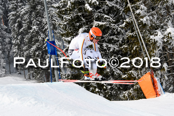 Int. FIS Rennen + NJC Herren, SG, Götschen, 26.02.2018