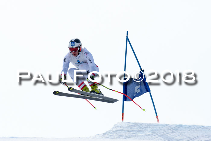 Int. FIS Rennen + NJC Herren, SG, Götschen, 26.02.2018