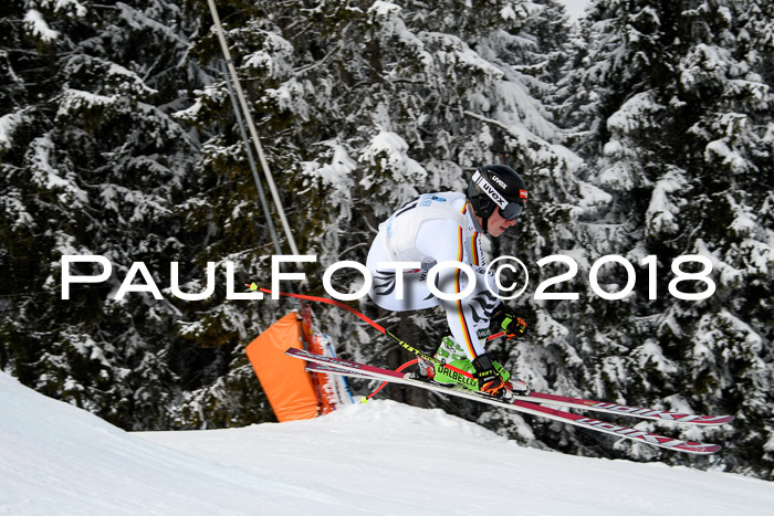 Int. FIS Rennen + NJC Herren, SG, Götschen, 26.02.2018