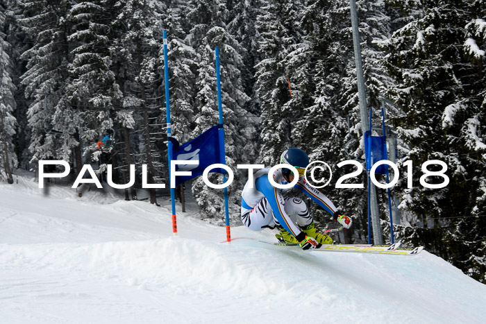 Int. FIS Rennen + NJC Herren, SG, Götschen, 26.02.2018