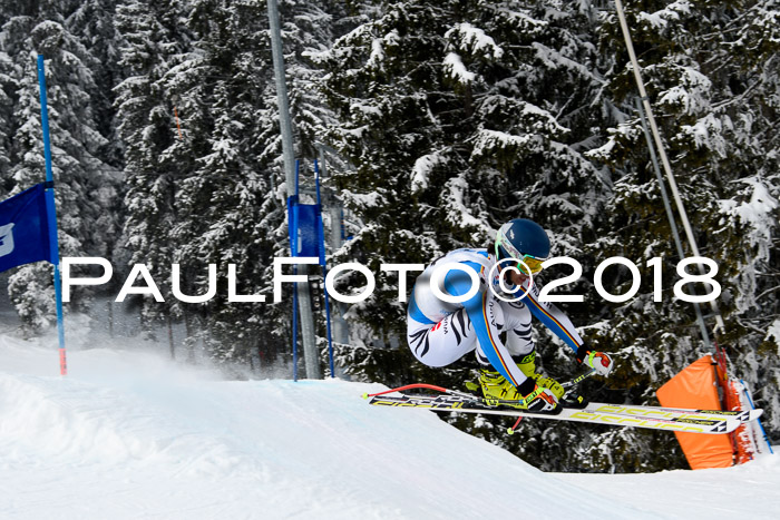 Int. FIS Rennen + NJC Herren, SG, Götschen, 26.02.2018