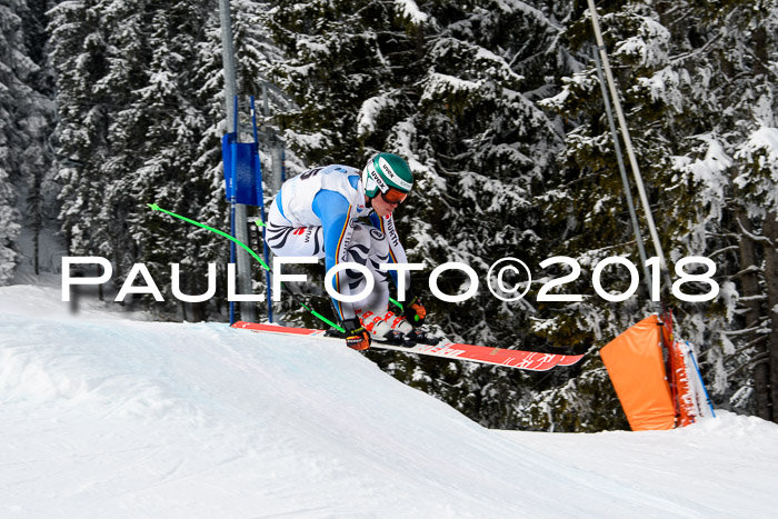 Int. FIS Rennen + NJC Herren, SG, Götschen, 26.02.2018