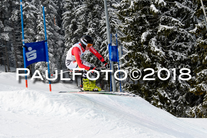 Int. FIS Rennen + NJC Herren, SG, Götschen, 26.02.2018