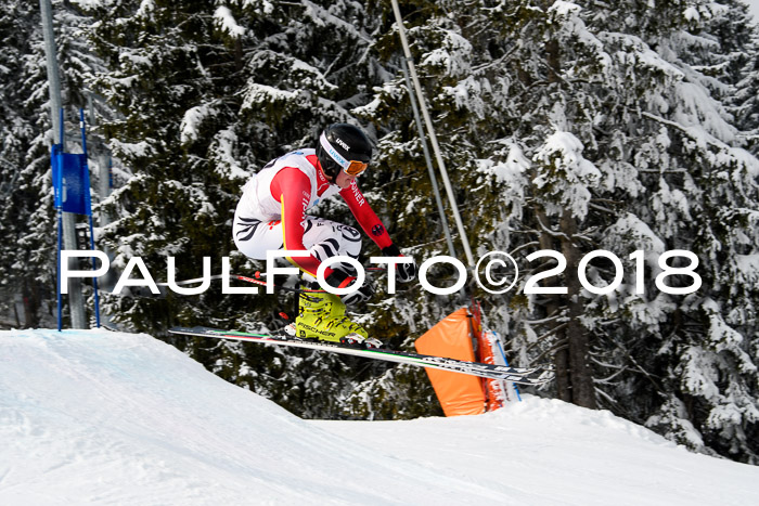 Int. FIS Rennen + NJC Herren, SG, Götschen, 26.02.2018