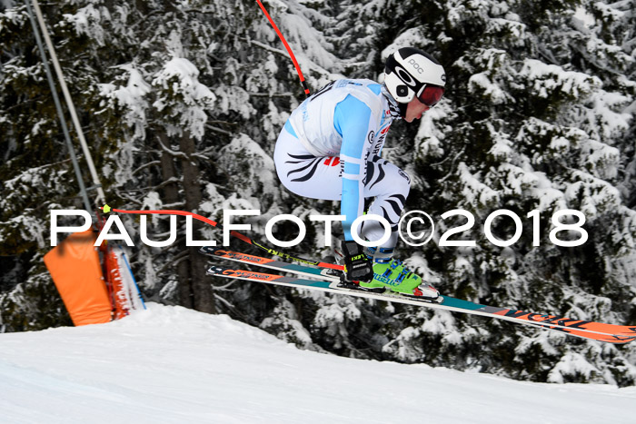 Int. FIS Rennen + NJC Herren, SG, Götschen, 26.02.2018