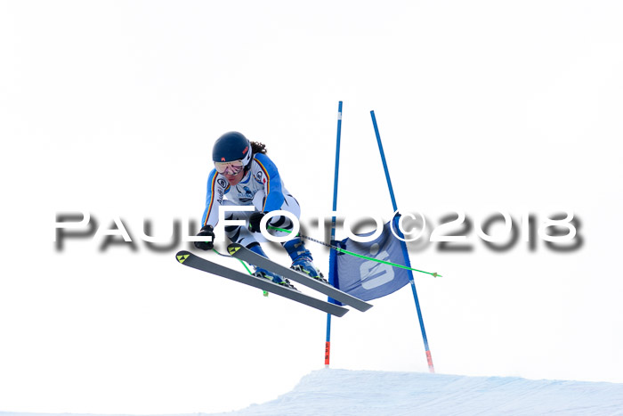 Int. FIS Rennen + NJC Herren, SG, Götschen, 26.02.2018