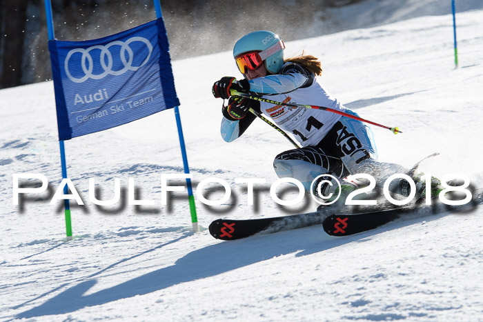 Dt. Schülercup U16 Finale,Parallelslalom, 04.03.2018, Siegerehrungen DSC gesamt