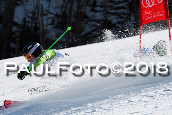 Dt. Schülercup U16 Finale,Parallelslalom, 04.03.2018, Siegerehrungen DSC gesamt