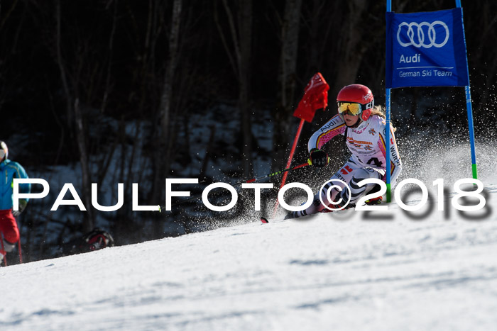 Dt. Schülercup U16 Finale,Parallelslalom, 04.03.2018, Siegerehrungen DSC gesamt