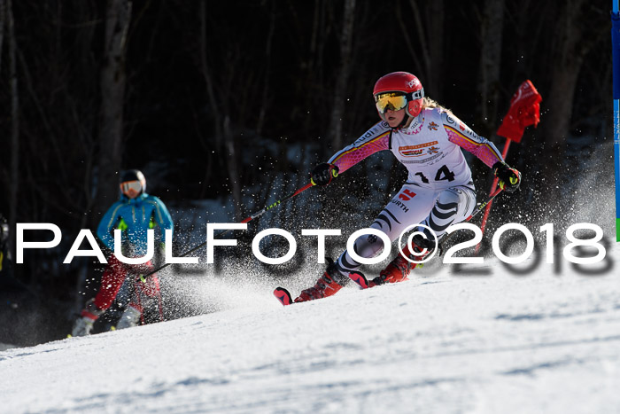 Dt. Schülercup U16 Finale,Parallelslalom, 04.03.2018, Siegerehrungen DSC gesamt