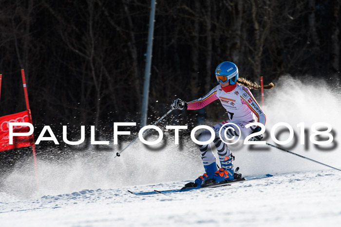 Dt. Schülercup U16 Finale,Parallelslalom, 04.03.2018, Siegerehrungen DSC gesamt