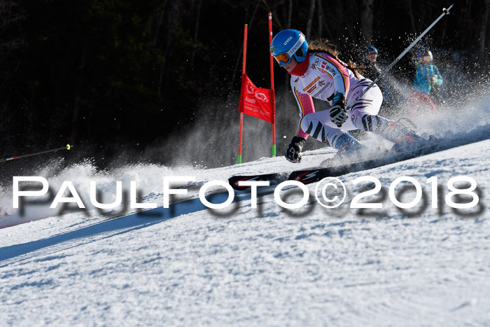 Dt. Schülercup U16 Finale,Parallelslalom, 04.03.2018, Siegerehrungen DSC gesamt