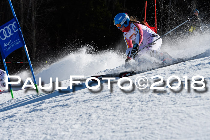 Dt. Schülercup U16 Finale,Parallelslalom, 04.03.2018, Siegerehrungen DSC gesamt