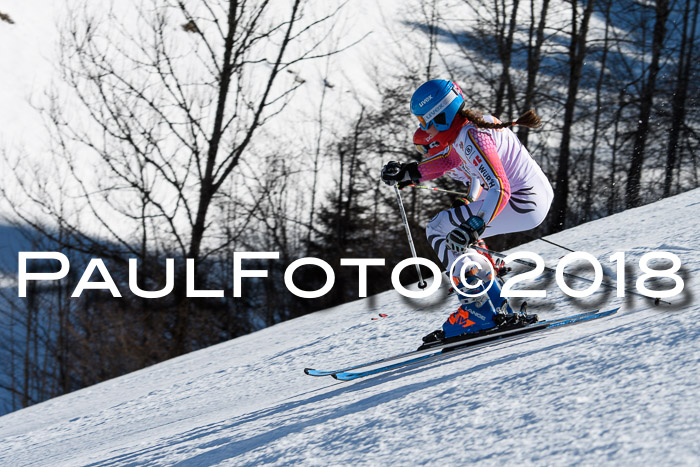 Dt. Schülercup U16 Finale,Parallelslalom, 04.03.2018, Siegerehrungen DSC gesamt