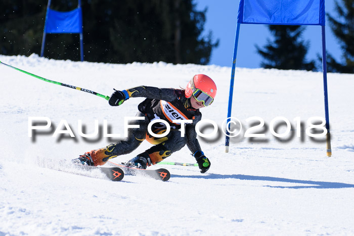 5. WF Ziener Cup + WFM, Steckenberg, 04.03.2018