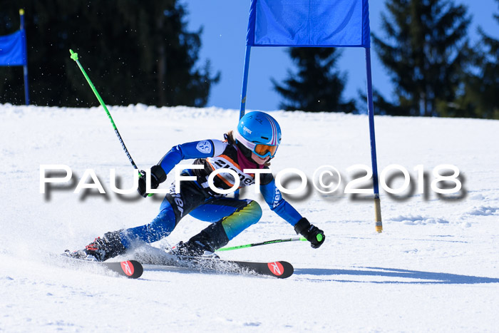 5. WF Ziener Cup + WFM, Steckenberg, 04.03.2018