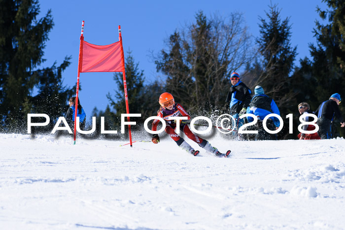 5. WF Ziener Cup + WFM, Steckenberg, 04.03.2018