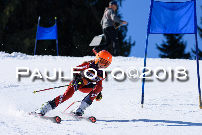 5. WF Ziener Cup + WFM, Steckenberg, 04.03.2018