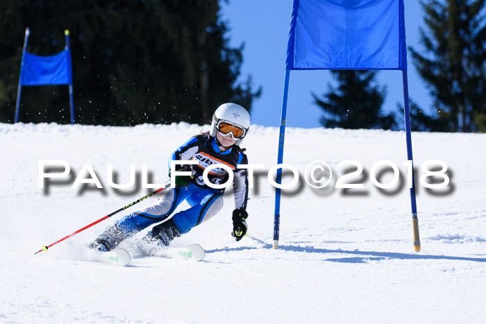 5. WF Ziener Cup + WFM, Steckenberg, 04.03.2018