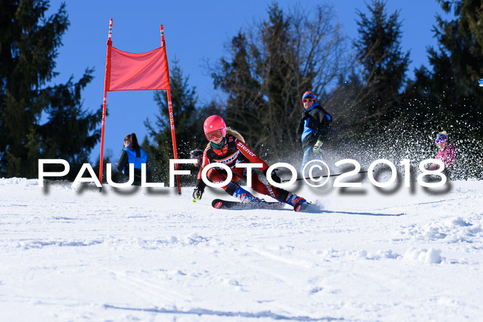 5. WF Ziener Cup + WFM, Steckenberg, 04.03.2018