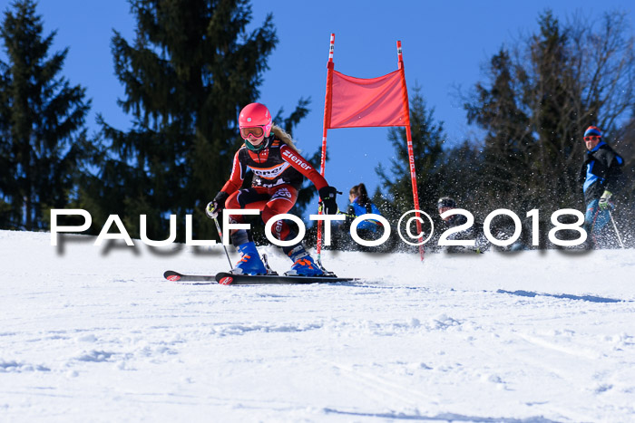 5. WF Ziener Cup + WFM, Steckenberg, 04.03.2018