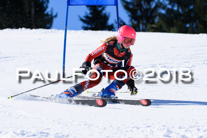 5. WF Ziener Cup + WFM, Steckenberg, 04.03.2018