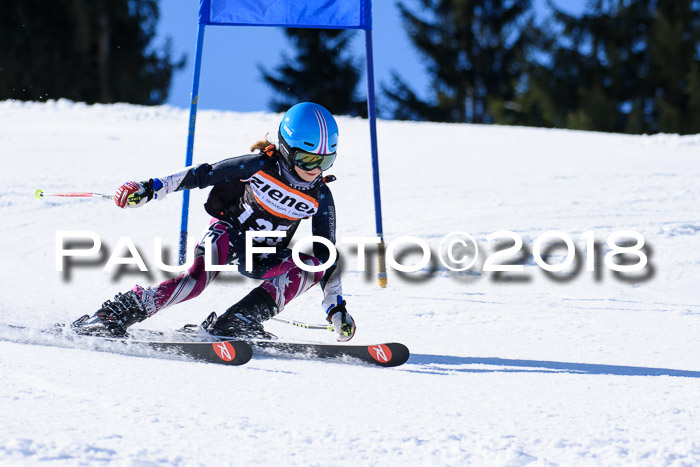 5. WF Ziener Cup + WFM, Steckenberg, 04.03.2018