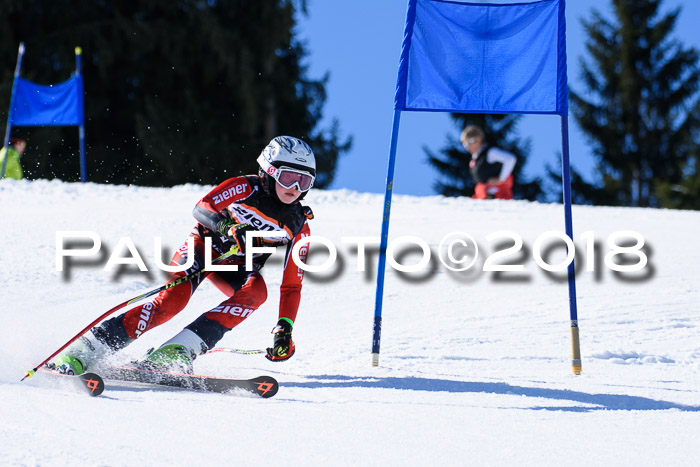 5. WF Ziener Cup + WFM, Steckenberg, 04.03.2018