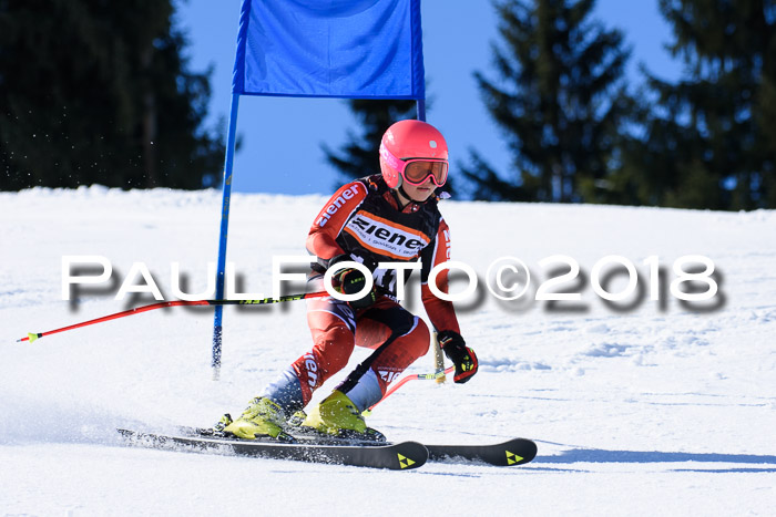 5. WF Ziener Cup + WFM, Steckenberg, 04.03.2018