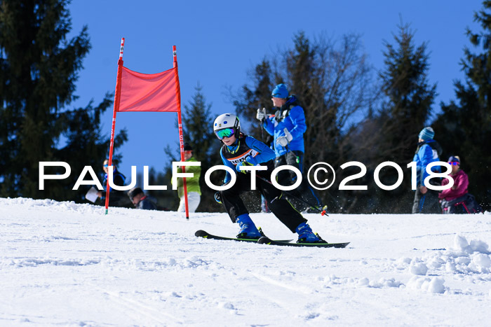 5. WF Ziener Cup + WFM, Steckenberg, 04.03.2018