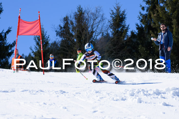 5. WF Ziener Cup + WFM, Steckenberg, 04.03.2018